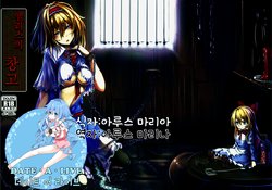 (C85) [Monaka Udon (Monikano)] Alice Kyousei Zecchou Souchi | 앨리스의 창고 (Touhou Project) [Korean]  [데이트 어 라이브]