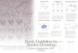 [Fuya] Basic Guideline to Boobs