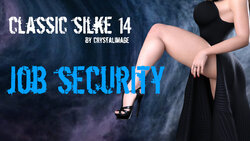 [Crystal Image] Classic Silke 14 - Job Security