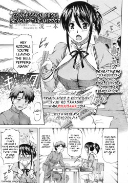 [Nagare Ippon] Kagami Goshi no Kokuhaku | Confession from Beyond the Mirror (COMIC Megastore 2010-01) [English] [RyuuTama]