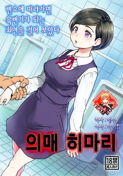 (C91) [Okina Keikaku (Shiwasu no Okina)] Gimai Himari | 의매 히마리 [Korean] [Team Edge]