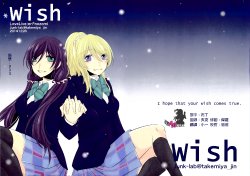 (C87) [Junk-lab (Takemiya Jin)] wish (Love Live!) [Chinese] [AJI TEAM]