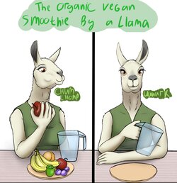 [Refe2 (Xyi)] The Organic Vegan Smoothie by a Llama + Extras