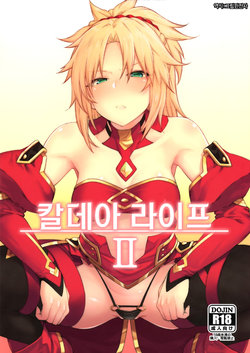 (C95) [Hirojuu Renshuuchou (Hiroya)] Chaldea Life II | 칼데아 라이프 II (Fate/Grand Order) [Korean] [그림판전사]