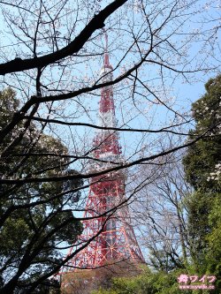 [Mywife] 20110425 No.351 - Naoko Utsumi 内海直子