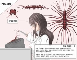 Mushi Research Report No.8 [Korean]