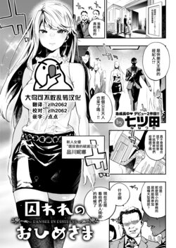 [Nanatsuda] Toraware no Ohimesama (COMIC Kairakuten 2020-11) [Chinese] [大鸟可不敢乱转汉化] [Digital]