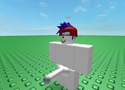 NothingToSeeNow/Roblox