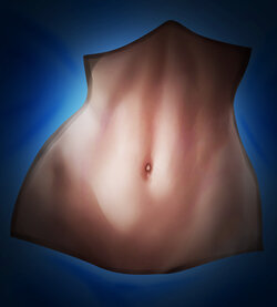 Abs Only [Sakimichan Edition] (Blindfoldabs)
