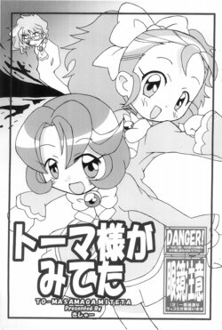 (Princess Festa 3) [Kisha- (Yoshiwo)] Toma-sama ga Miteta (Fushibiboshi no Futago Hime)