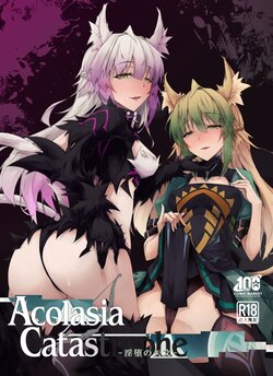 (C100) [eK-SHOP (Tsuizi)] Acolasia Catastrophe (Fate/Grand Order) [SAMPLE]