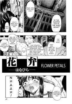 [Oyster] Flower Petals (ENG)