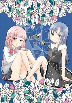 [pecon (Kino)] Houkiboshi to Kaketa Tsuki (Puella Magi Madoka Magica Side Story: Magia Record) [Digital]