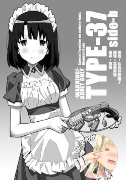 [TYPE-57 (Frunbell)] TYPE-37 side-b (Saenai Heroine no Sodatekata) [Chinese] [脸肿汉化组] [Digital]