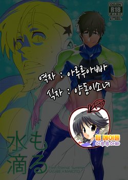 (HaruCC20) [Maraparte (Kojima Shoutarou)] Mizu mo Shitataru (Free!) [Korean] [Team Maple]