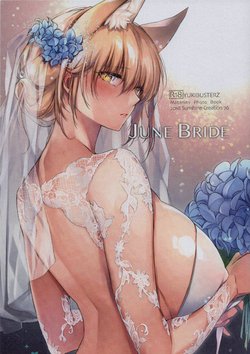 (C94) [Kodomo Beer (Yukibuster Z)] JUNE BRIDE Maternity Photo Book [Korean]