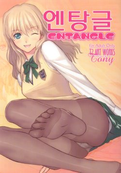 (C71) [T2 ART WORKS (Tony Taka)] Entangle (Zegapain) (korean)