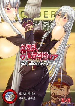 (COMIC1☆3) [Nozarashi (Nozarashi Satoru)] Senjou no Valkyria Dase, Selvaria no Naka ni (Valkyria Chronicles) [Korean] {Team Pureabyss}