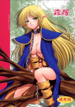 [Ai Wa Kurayami (Marui Ryuu)] Moriyome (Record of Lodoss War) [Digital]