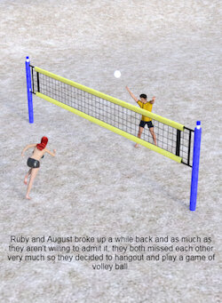 Volleyball game