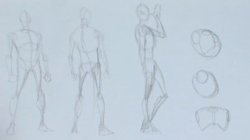 David Finch Dynamic Figure Drawing: The body Screenshots