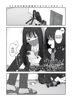 [Mikaduchi] Camera Roll ni wa Nokoranai (COMIC Gunjou Vol.2) [Korean] [팀 털난보리]