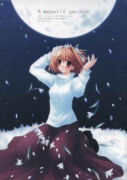 [CHRONOLOG, R-Works] A moonlit garden (Tsukihime,Fate/Stay Night)