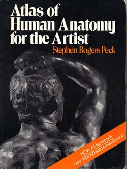 atlas of human anatomy for the artist (english)