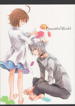 (C80) [ROBO PUNCH (Toki Hinomoto)] Beautiful World (Toaru Majutsu no Index)