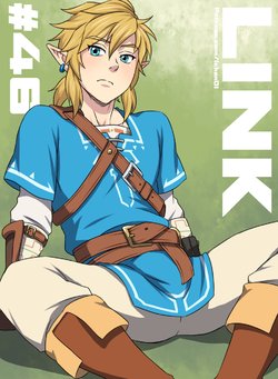 [ichan01] Link pinup sequence