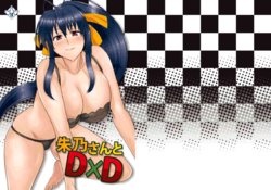 [Shijou Misaki (Satou Souji)] Akeno-san to DxD (Highschool DxD) [Russian] [nikdonald] [Digital]