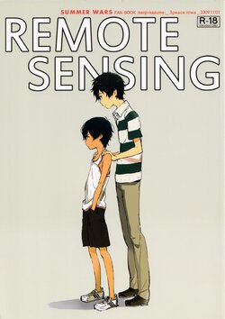 (CCFukuoka22)  [3peace (niwa)] Remote Sensing (Summer Wars)