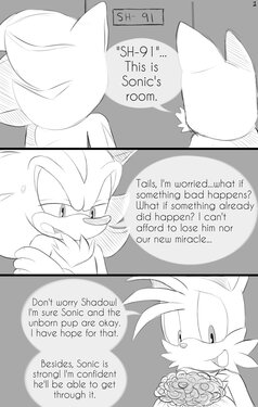 Sonadow Mpreg Birth [JayAero]