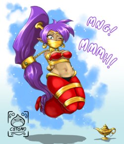 [Castagno] Shantae Collection