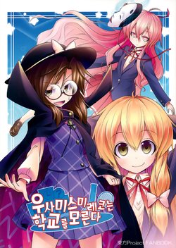 (Reitaisai 13) [Aozora Market (Ao)] Usami Sumireko wa Gakkou o Shiranai | 우사미 스미레코는 학교를 모른다 (Touhou Project) [Korean]