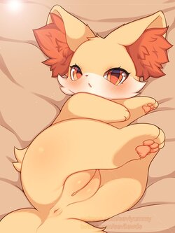 [e621]fennekin