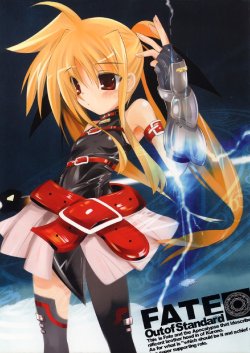 (SC35) [Kikakugai.Extend (itotin)] Out of Standard FATE (Mahou Shoujo Lyrical Nanoha)