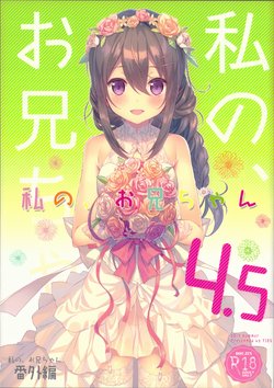 (C92) [TIES (Takei Ooki)] Watashi no, Onii-chan 4.5 Bangaihen