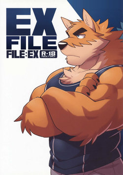 (FF32) [WILD STYLE (Takemoto Arashi)] File:EX [Vietnamese Tiếng Việt] [Furry Break the 4th Wall]