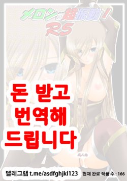 [valssu (Charu)] Melon ga Chou Shindou! R5 (Tales of the Abyss) [Korean] [Digital]