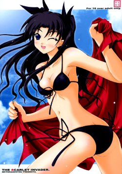 (C70) [SEITOKAISHITSU (Akimoto Dai)] THE SCARLET INVADER. (Fate/stay night)