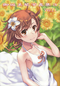 (C92) [Chillin Party (Raika9)] Misaka Mikoto Shashinshuu 3 Ver. 1.1 (Toaru Kagaku no Railgun)