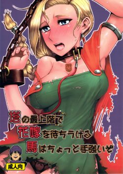 (C81) [A.S.G Group (Misonou)] Tou no Saijoukai de Hanayome o Machi Ukeru Uma wa Chotto Tegowai zo | The Horse Waiting with the Bride on the Top Floor of the Tower is Rather Tough (Dragon Quest V) [English] [LWB Collab]