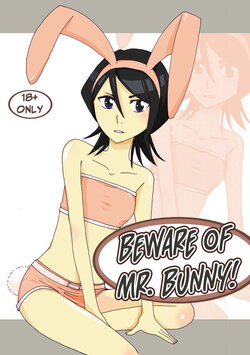 [Kazt] Usagi-san ni Ki o Tsukete | Beware of Mr. Bunny! (Bleach) [English] [Team Rabu2]