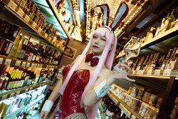 机智的哔啵 - Zero Two Bunnygirl [22P]