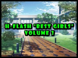 H-Flash "Best Girls" Volume 3 (Complete 23/04/2023)