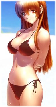 (Dead or Alive) Kasumi Collection