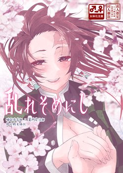 (Nichirin Kitan 6) [Yakionigiri (Taiga Tora)] Midare Somenishi (Kimetsu no Yaiba) [Sample]