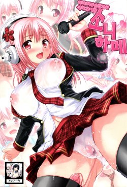 (C81) [An-Arc (Hamo)] Sonihame (Super Sonico) [Korean]