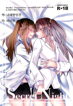 (C95) [azisaikyou (monochrome)] Secret Night (Girls' Frontline) [Korean] [나태한인간]